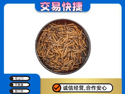 长葛市回收散虫草